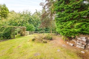 Photo 19- click for photo gallery